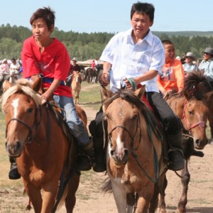 Horses